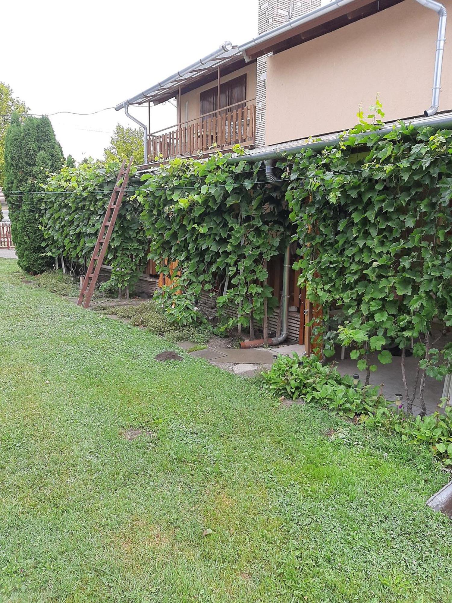 Hotel Agancs Vendeghaz Balatonszárszó Exterior foto